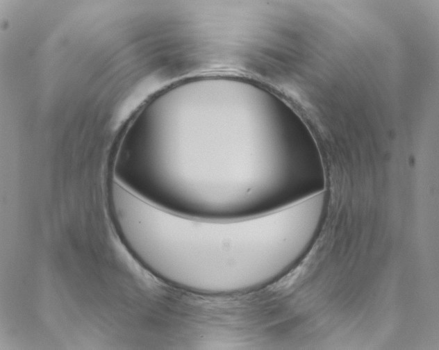 X0000088751422200705311105