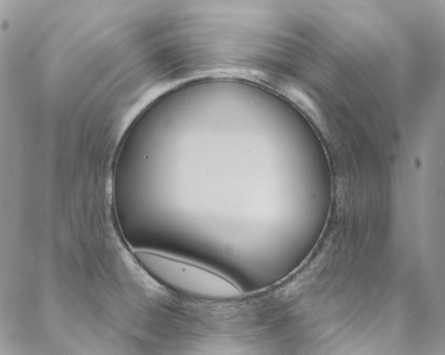 X0000088751428200705311105