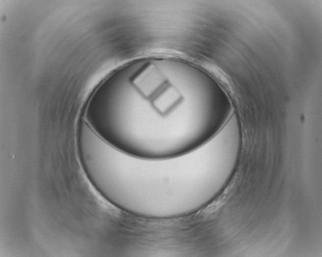 X0000088751430200705311105