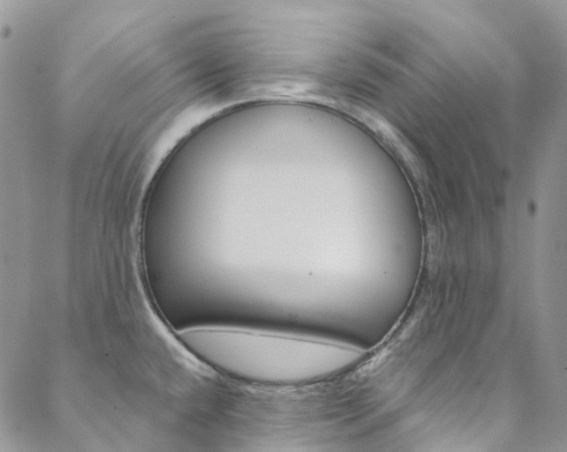 X0000088751432200705311105