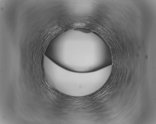 X0000088751441200705311105