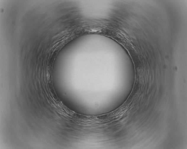 X0000088751442200705311105