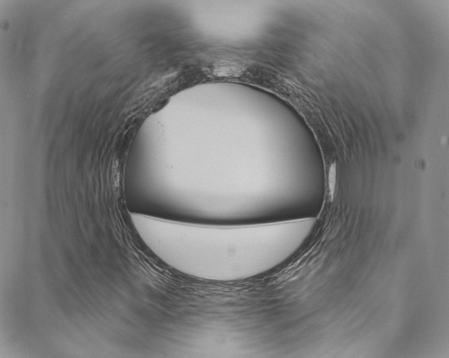 X0000088751443200705311105