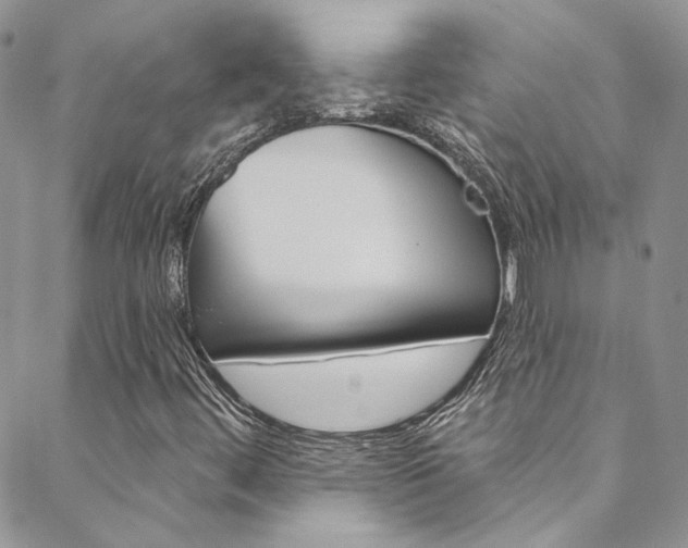 X0000088751444200705311105