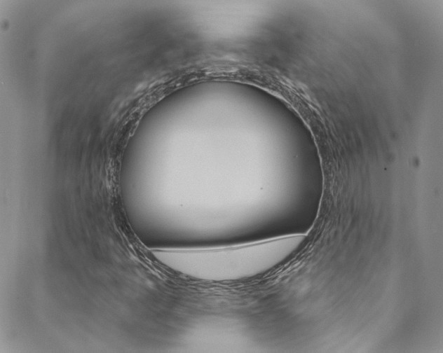 X0000088751445200705311105