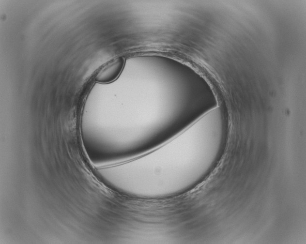 X0000088751450200705311105