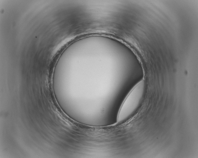 X0000088751452200705311104