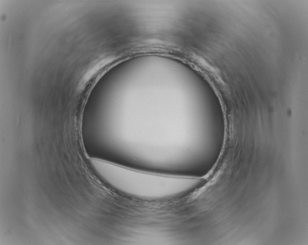 X0000088751453200705311104