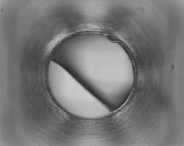 X0000088751455200705311104