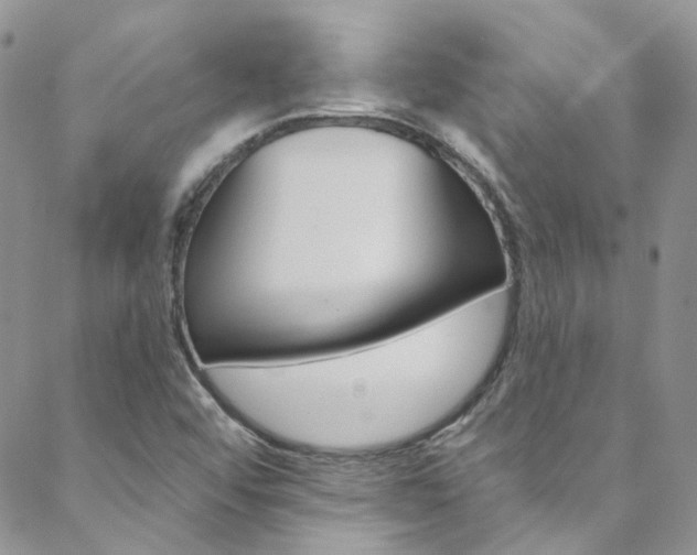 X0000088751456200705311104