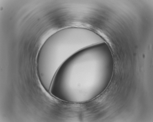 X0000088751479200705311104