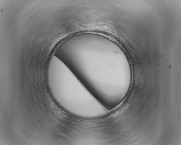 X0000088751497200705311103