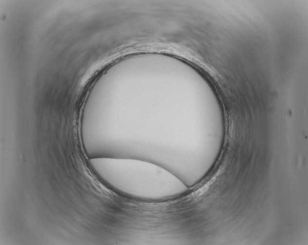 X0000088751498200705311103