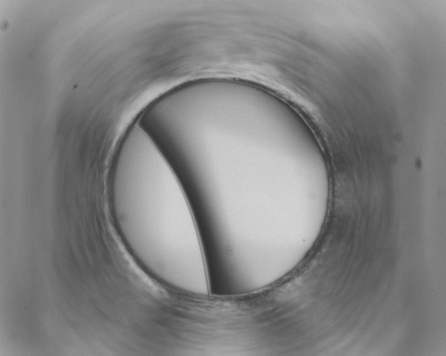 X0000088751517200705311104