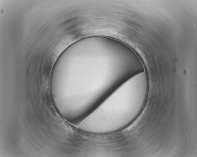 X0000088751529200705311104