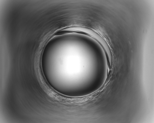 X0000088750001200705311520