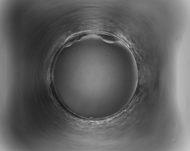 X0000088750002200705311520