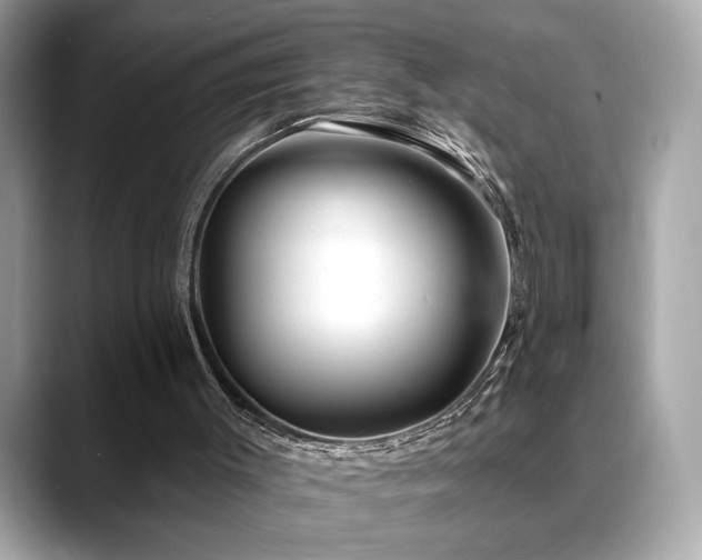 X0000088750003200705311520