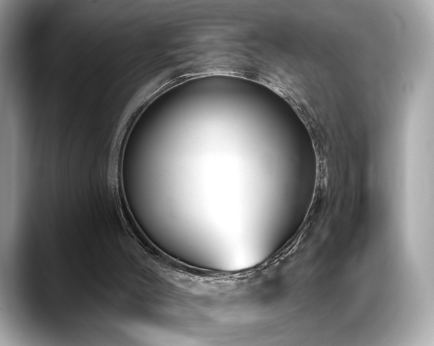 X0000088750004200705311520