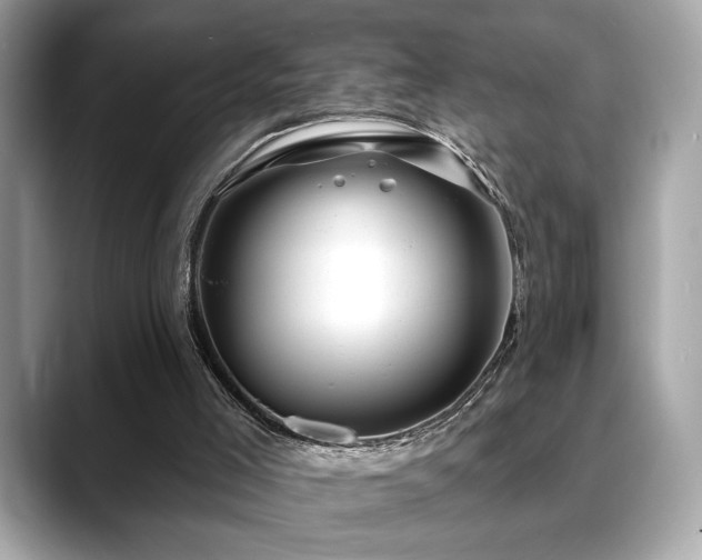 X0000088750005200705311520
