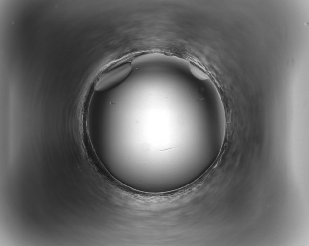 X0000088750006200705311520