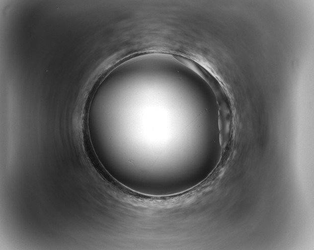 X0000088750007200705311520