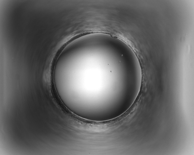 X0000088750008200705311520