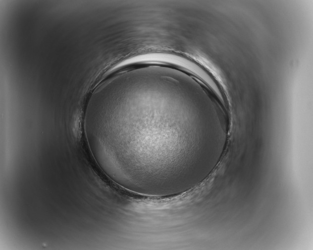 X0000088750009200705311520