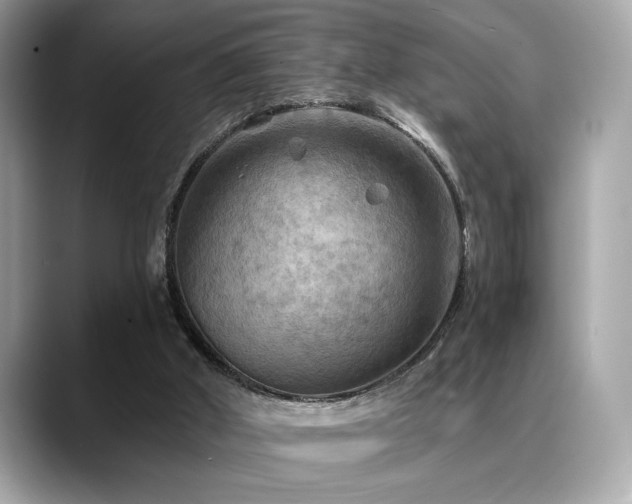X0000088750010200705311520