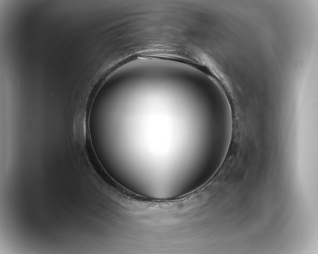 X0000088750011200705311520