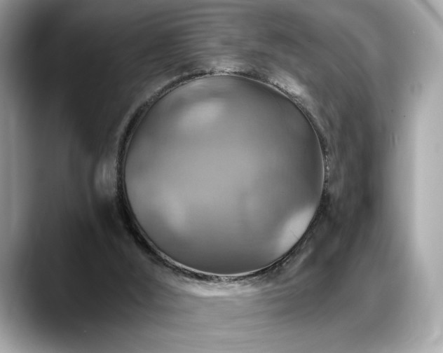X0000088750012200705311520