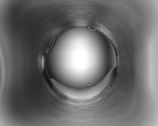 X0000088750013200705311520