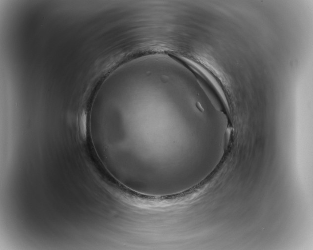 X0000088750014200705311520