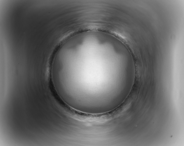 X0000088750016200705311520