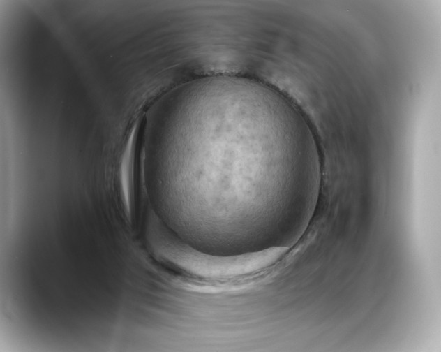 X0000088750017200705311520