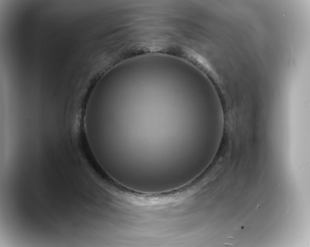 X0000088750018200705311520
