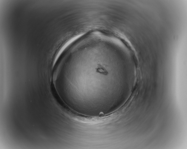X0000088750019200705311520