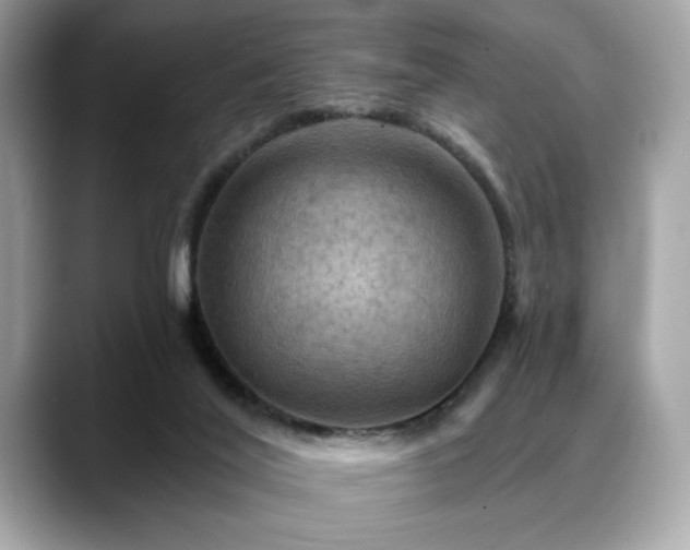 X0000088750020200705311520