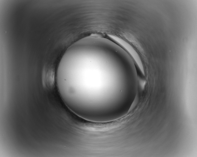 X0000088750021200705311520