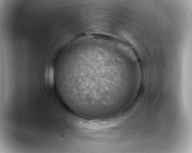 X0000088750022200705311520