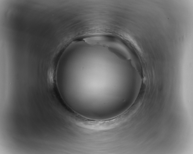 X0000088750023200705311520
