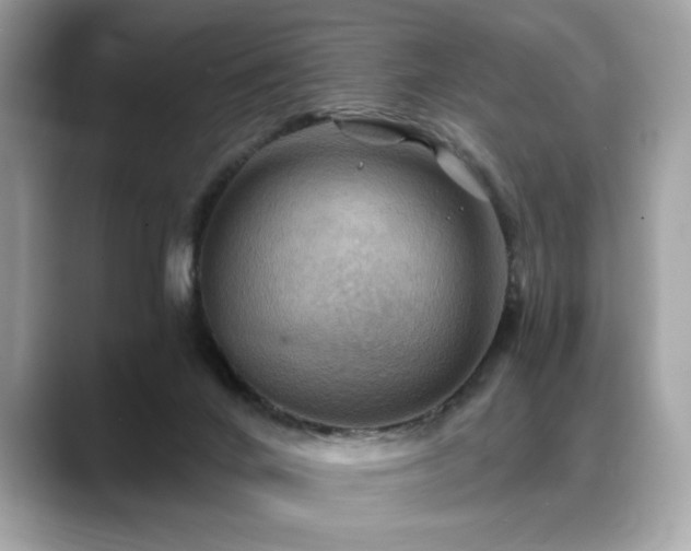 X0000088750024200705311520