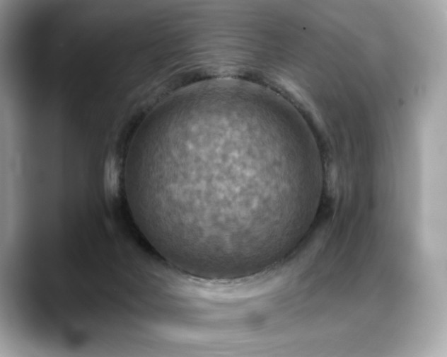 X0000088750026200705311520