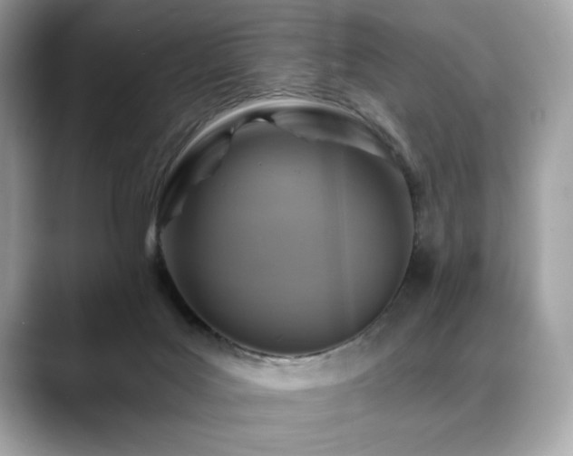 X0000088750027200705311520