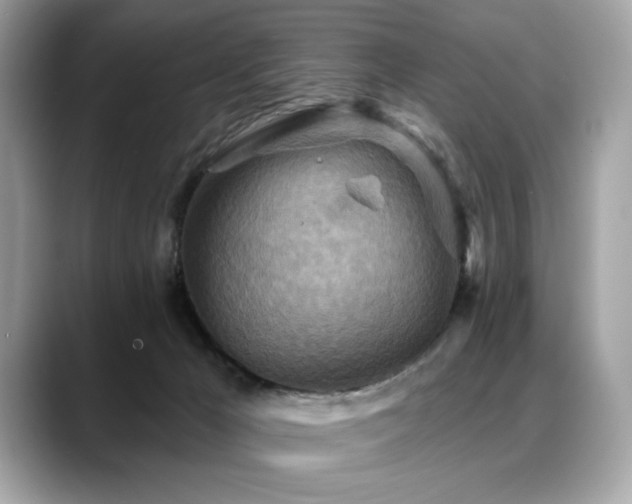 X0000088750029200705311520