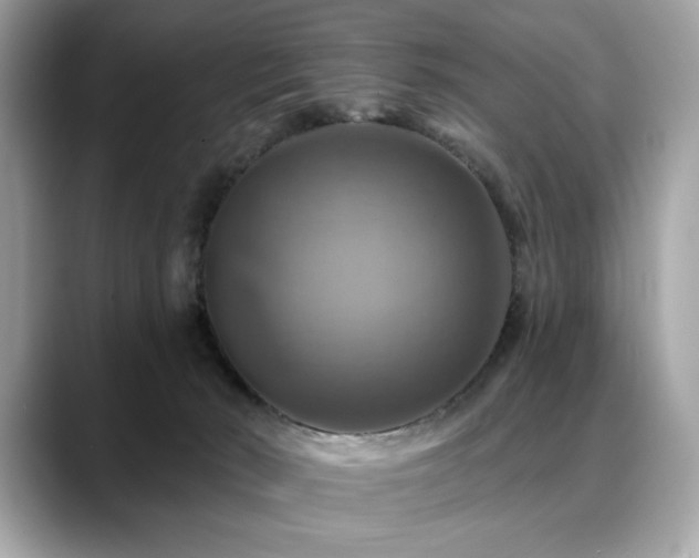 X0000088750030200705311520