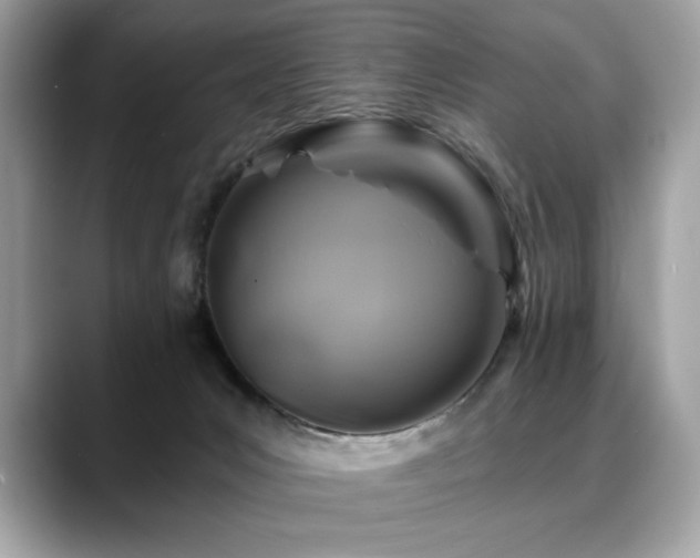 X0000088750031200705311520