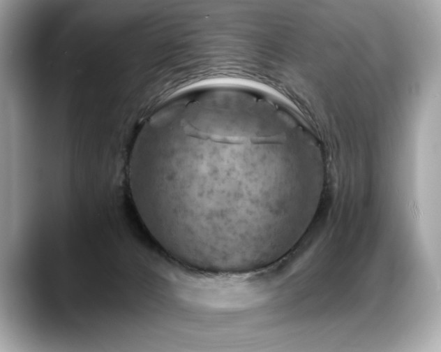 X0000088750032200705311520