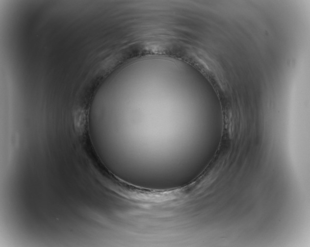X0000088750036200705311520