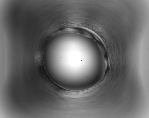 X0000088750037200705311520